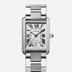 Cartier Tank Must 30MM Acero Buen estado